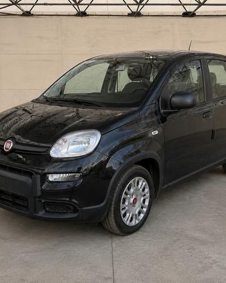 FIAT Panda III 2021 - Panda 1.0 hybrid City Life 7