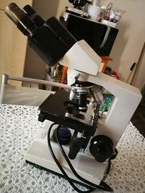 Microscopio Optech Mod B3 Germany