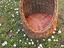 Immagine 5