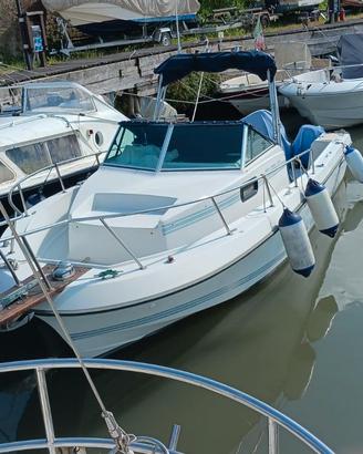 Chris Craft Sea Hawk 216