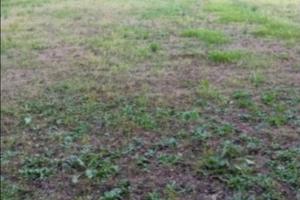 POSTO AUTO come DEPOSITO all'aperto