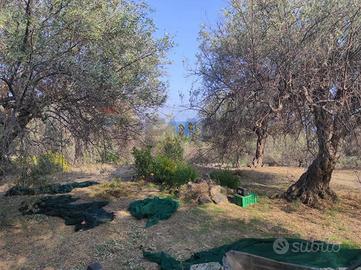 Terreno - Aci Castello