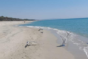 Affittasi villino villaggio carrao