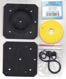 Kit Riparazione riduttore Landi Renzo Li01 Ig1