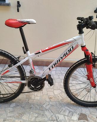 Mountain bike 
