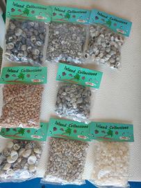 conchiglie piccole acquario bricolage