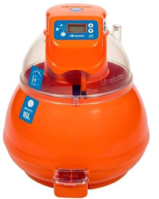 Incubatrice