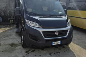 Fiqt Ducato 9 posti