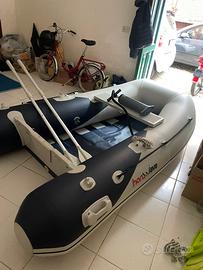 Tender Honda 250 +Mercury 3,5