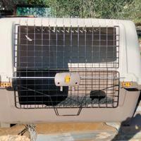 Kennel gabbia cane