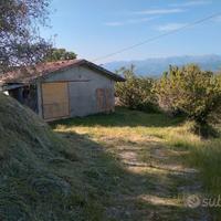Capannone agricolo e terreni in Lunigiana (MS)