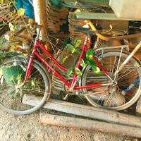 2bici Mountain bike a euro 💶 20ciascuna, funziona