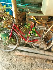 2bici Mountain bike a euro 💶 20ciascuna, funziona