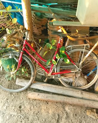 2bici Mountain bike a euro 💶 20ciascuna, funziona