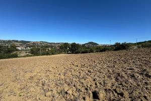 Terreno Agricolo Campobasso [Cod. rif 3265022VRG]