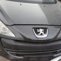 Ricambi Peugeot 308 2008 SW