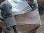 Immagine 1