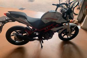 Benelli bn 125
