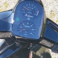 Vespa cosa