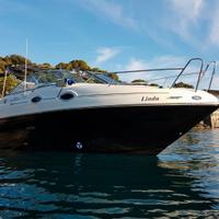 SEA RAY 255 Limited Edition