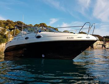 SEA RAY 255 Limited Edition