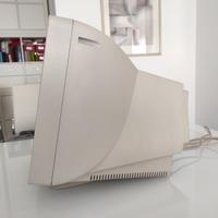 Monitor CRT Philips 109b5 19 pollici