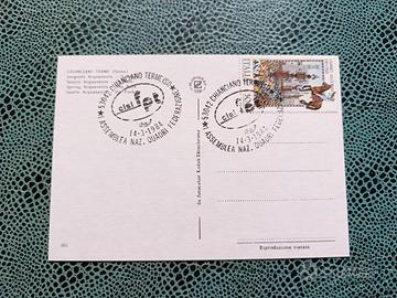 Cartolina con annullo filatelico