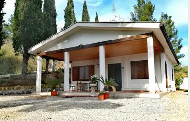 Grottammare in campagna