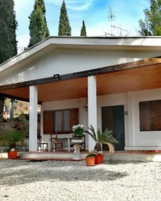Grottammare in campagna