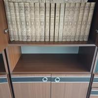 collezione di dischi in vinile