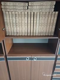 collezione di dischi in vinile