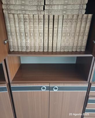 collezione di dischi in vinile