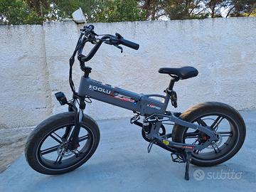 Bici elettrica fat- bike mostruosa