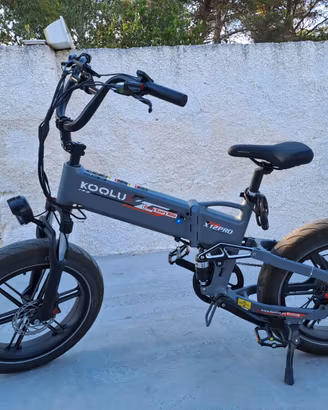 Bici elettrica fat- bike mostruosa