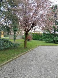 Privato vende porzione bifamiliare chirignago