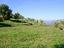 Immagine 18