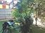 Immagine 6