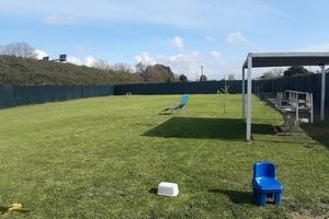 TERRENO AGRICOLO – ZONA MIGLIARINA, VIAREGGIO