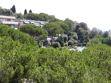 Zona centrale con piscina, tennis e verde