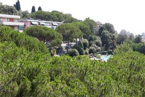 Zona centrale con piscina, tennis e verde