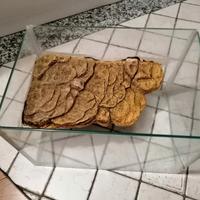 Acquario/terrario per tartarughe 