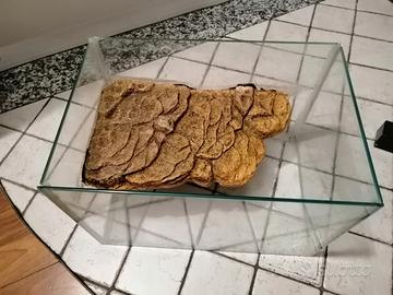 Acquario/terrario per tartarughe 