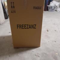 Freezanz