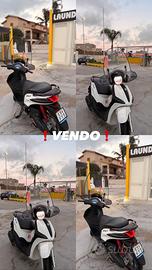 liberty 50 s 2023