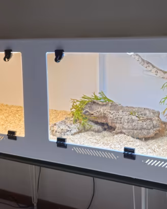 Terrari Modulari Espandibili in PVC per Rettili
