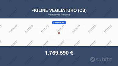 Immobile in asta di 6000 m² a Figline Vegliaturo