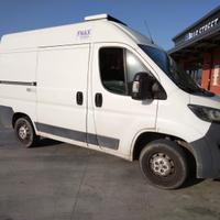 Fiat Ducato Peugeot Boxer Frigo