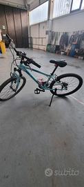 Bici rockrider 24