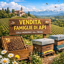 API nuclei di api su 5/6 telaini