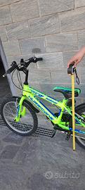 montainbike bambino 6/11 anni